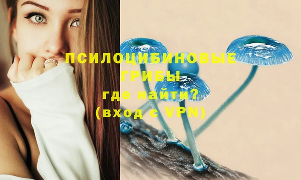 прущие грибы Алексеевка