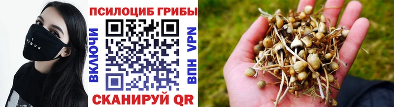 Галлюциногенные грибы ЛСД Когалым