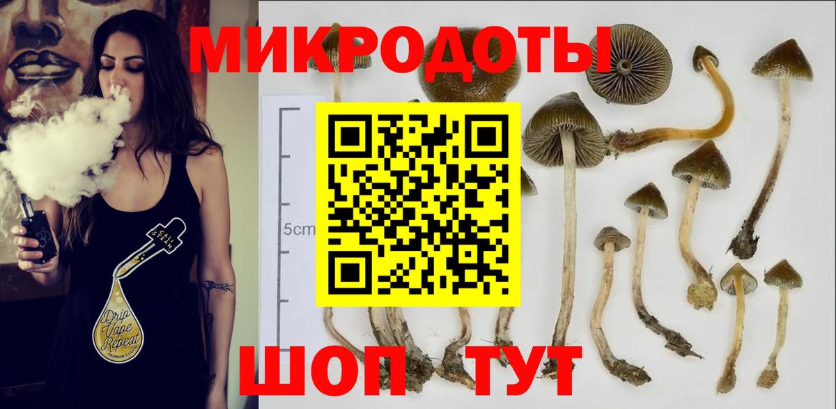 Галлюциногенные грибы прущие грибы Когалым